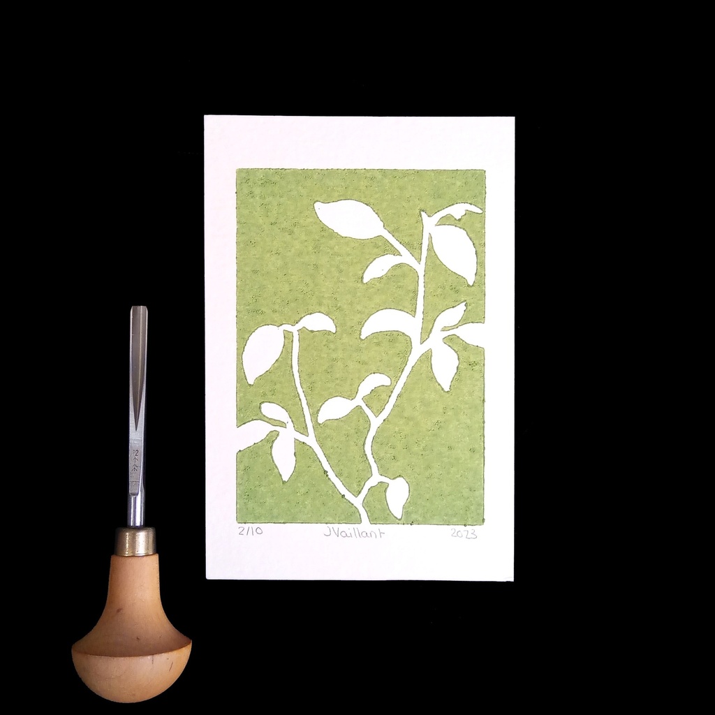 Feuillage Vert