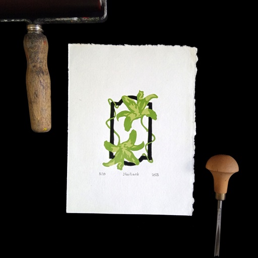 Cadre fleuri Vert